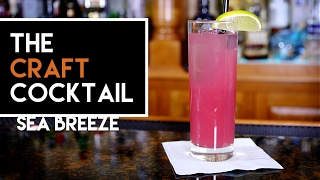 ⛵ How To Make The Sea Breeze  Easy Vodka Cocktail Series 1 [upl. by Danella]