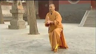 Shaolin Kung Fu Combat Styles 2 big Buddhas 18 hands 罗汉十八手 luohan shiba shou [upl. by Allista788]