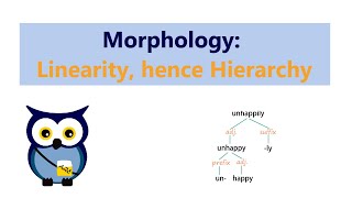 Morphology Linearity hence Hierarchy [upl. by Yruj]