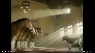 Budweiser Clydesdales Commercial Compilation [upl. by Atena367]