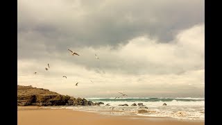 Ocean Waves Sound  Seagull Sounds for Relaxation Sleeping Meditation [upl. by Sanoj834]