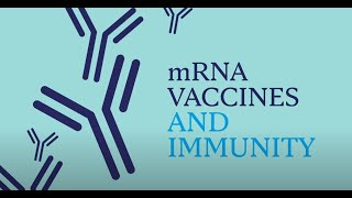 Mayo Clinic Insights How mRNA Vaccines Work [upl. by Artenra611]