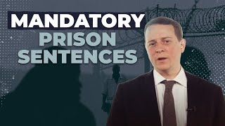 Mandatory Prison Sentences What You Need To Know [upl. by Louanne]