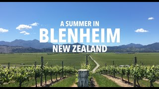 A Summer in Blenheim New Zealand [upl. by Jr]