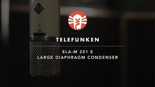 Telefunken ELA M 251  Microphone  Vintage King [upl. by Ardnassac]