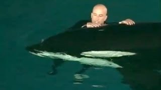 Caught on tape Whale nearly drowns SeaWorld trainer [upl. by Buote96]