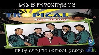 Mix de las 15 Favoritas de TROPICAL DEL BRAVO exitos gruperos [upl. by Allemap]