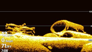 Humminbird Helix Down Imaging Settings and Images [upl. by Akcirahs]