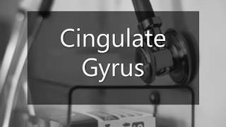 Learn how to pronounce Cingulate Gyrus [upl. by Aeslek]