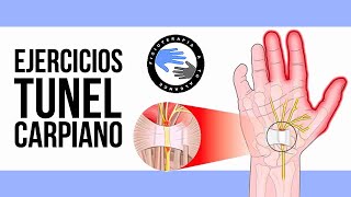 Los mejores ejercicios para el sindrome del tunel carpiano [upl. by Hu]