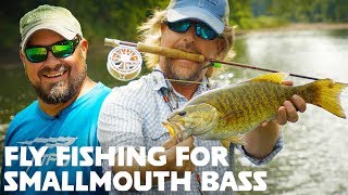 FLY FISHING for Smallmouth Bass Streamers  Poppers [upl. by Thorn]