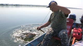 Pecanje soma na Dunavu  Bućka  Brza Palanka  Fishing catfish [upl. by Lerak162]