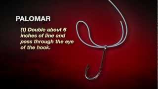 How To Tie The Palomar Knot In 4 easy steps [upl. by Virendra106]