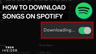 How To Download Music From Spotify 2022 [upl. by Wyne]