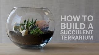 How To Build a Succulent Terrarium [upl. by Limhaj]