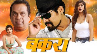 बकरा  Latest South Indian Comedy Movie Dubbed In Hindi  Srihari Yashika Brahmanandam [upl. by Esalb]