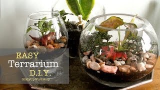 Easy DIY Glass Terrariums [upl. by Baudoin]