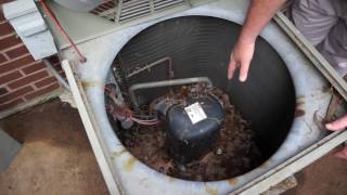 Professional Heat Pump Maintenance [upl. by Sillaw675]