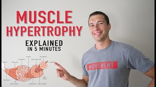 Compound vs Isolation Exercises for Hypertrophy  What is More Effective for Muscle Growth [upl. by Joris]