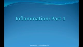 Inflammation Part 1 HD [upl. by Adran]