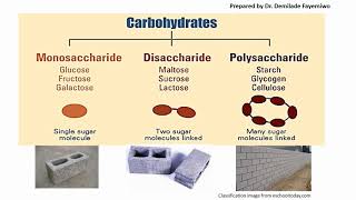 Chapter 21 Biological Molecules  Carbohydrates [upl. by Daley]