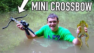 I Hunted BULLFROGS with MiniCrossbow [upl. by Nagram]