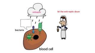 antiseptic vs disinfectant [upl. by Gnurt]