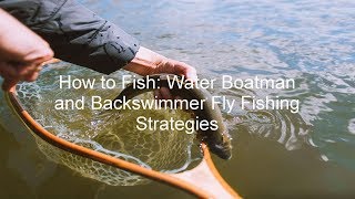 How to Fish Water Boatman and Backswimmer Fly Fishing Strategies  GoFishBC [upl. by Simone]