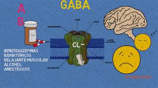 Receptores GABA Benzodiazepinas barbitúrcos y anestésicos [upl. by Nnylecoj]