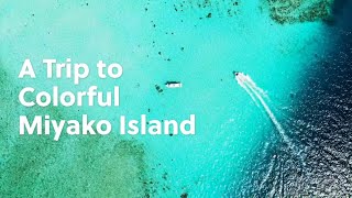 A Trip to Colorful Miyako Island [upl. by Altheta]