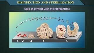 Disinfection and Sterilization [upl. by Atika]