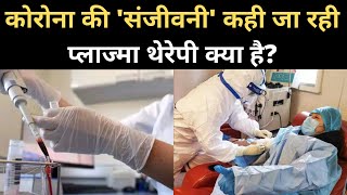 Plasma Therapy से होगा Covid19 का Treatment What is Plasma Therapy in Hindi  Navbharat Times [upl. by Nuahsyt]