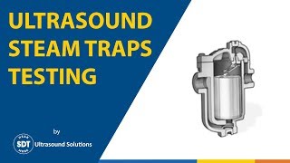 Introduction to Steam Trap Testing [upl. by Anear]