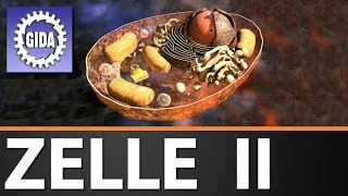 Trailer  Zelle II  Biologie  Schulfilm [upl. by Dustman]