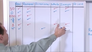 Lesson 1  Real Numbers PreAlgebra Tutor [upl. by Paschasia]