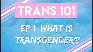 Trans 101 Ep 1  What is Transgender CC [upl. by Eivets262]