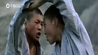 Shaolin Kung Fu Luohan fighting techniques [upl. by Tacy]