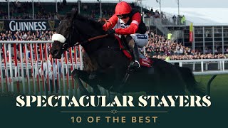 TOP 10 STAYERS HURDLES AT THE CHELTENHAM FESTIVAL [upl. by Karmen]