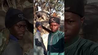 Bello Turji News His boiz are hiden inside forest belloturji [upl. by Lesde]