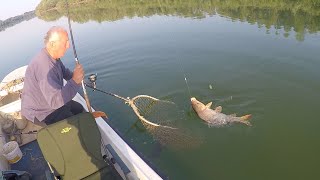 Pecanje šarana na Savi  Dubinsko pecanje šarana I deo  Fishing carp in river [upl. by Kcam]