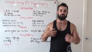 Hypertrophy vs Strength Training [upl. by Cirilla743]