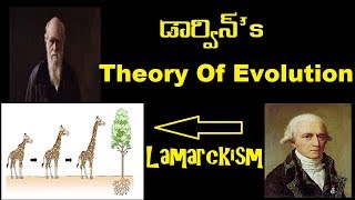 Darwins Theory of Evolution  Natural selection  Lamarckism  Telugu [upl. by Suoiradal947]