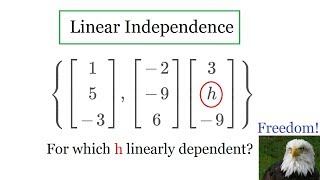 Linear Independence [upl. by Zashin]