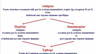 Réaction Antigénes Anticorps I [upl. by Ssecnirp]