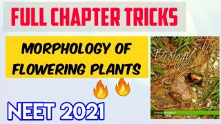 Plant Morphology Full Chapter Tricks  Neet Possible Tricks Series  Target Neet [upl. by Seigler]