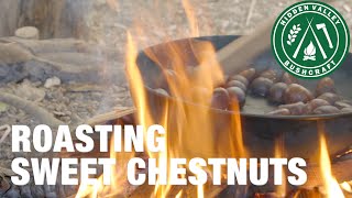 Campfire Cooking  How to Roast Chestnuts [upl. by Wallach574]