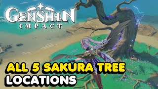 All 5 Sakura Tree Locations In Genshin Impact Sakura Arborism World Quest Guide [upl. by Tripp]