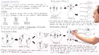 Aneuploidy and Nondisjunction Part II [upl. by Palgrave]