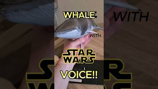 Eerie Whale Sounds Resembling Star Wars [upl. by Worl686]