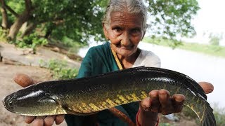 Koramenu Fish Recipe  Murrel Fish curry By Granny Mastanamma [upl. by Elconin]